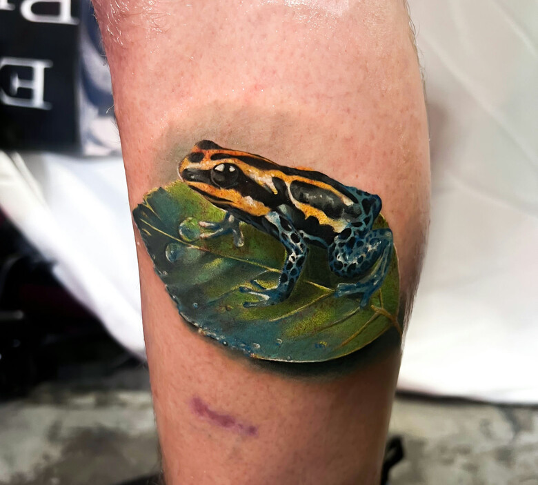 Frog realistic tattoo by Yana Sulina